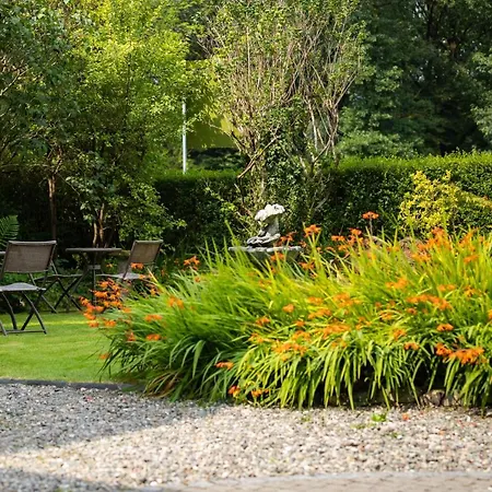 Guest house Chestnuts (adults Only)